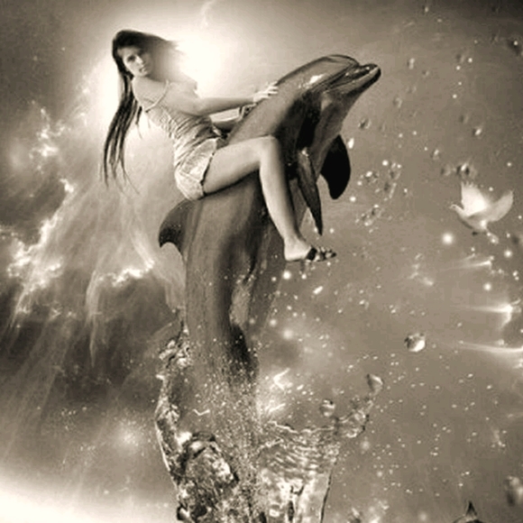 Meet your Posher, Tosha - Picture 1 of 12